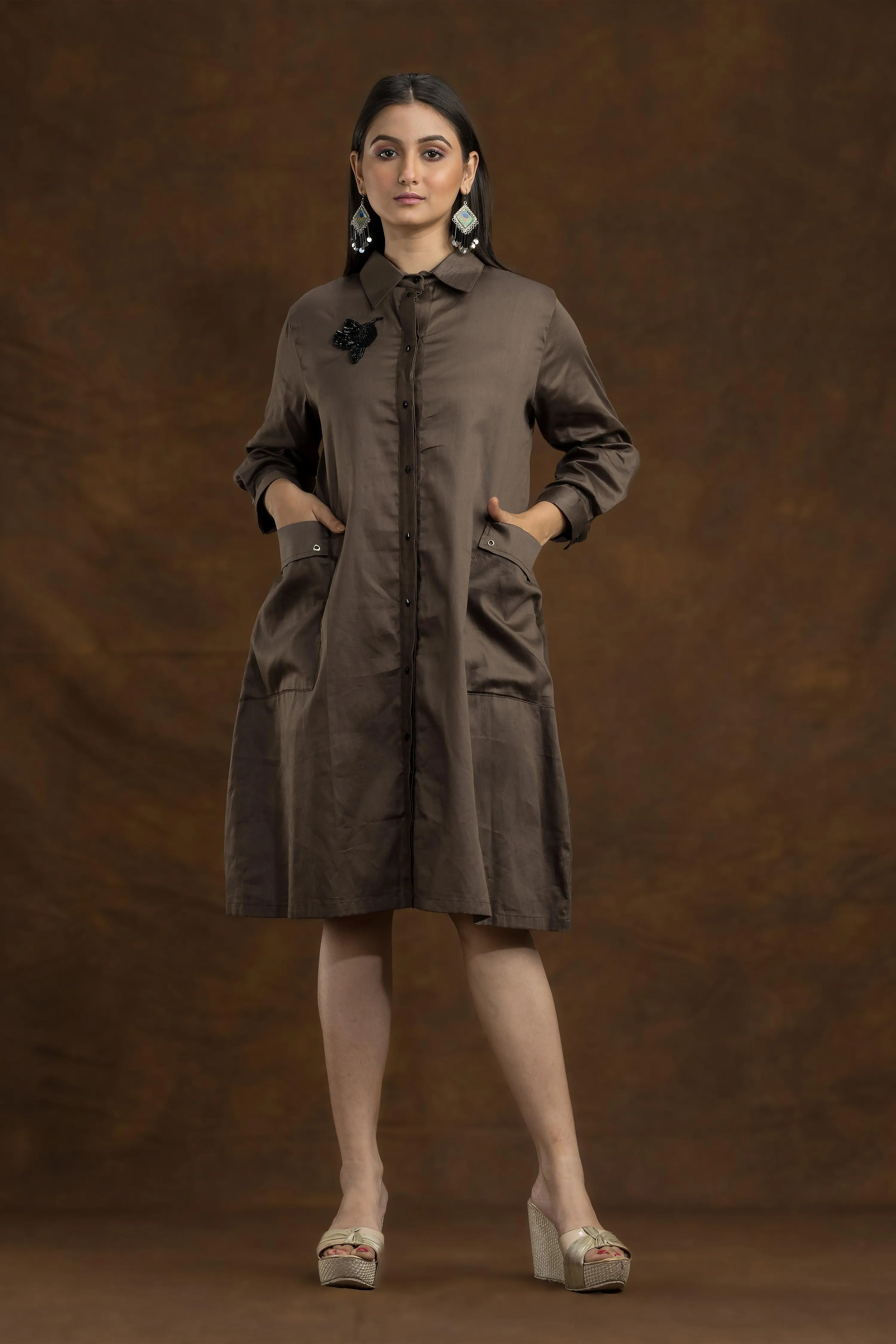 Ash Brown A Line Embroidered Shirt Dress
