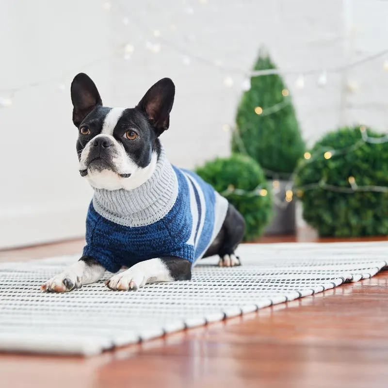 Blue Trekking Dog Sweater