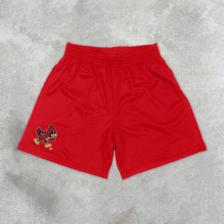 Casual Sports Style Mesh Basketball Shorts