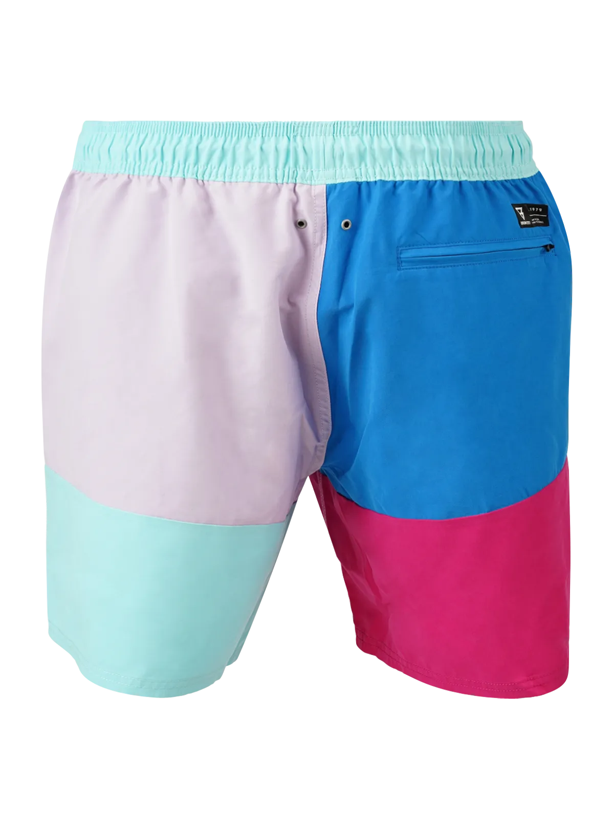 Dudley Men Swim Shorts | Purple