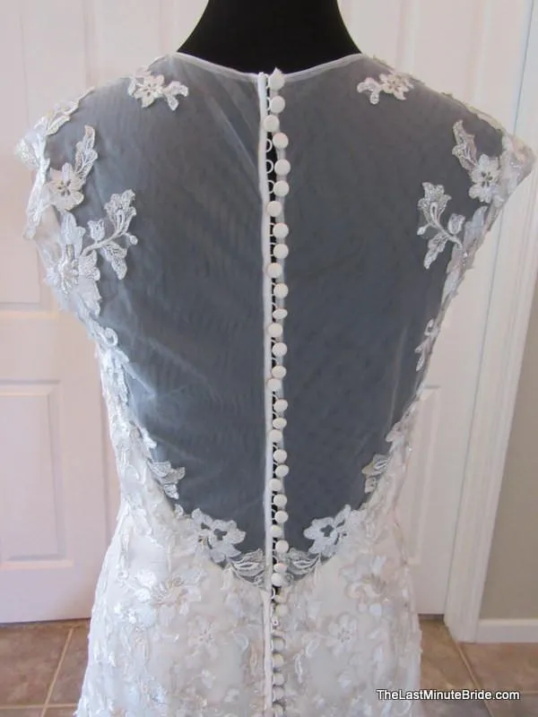 Jasmine T172008