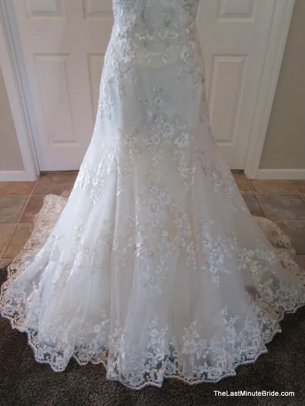 Jasmine T172008