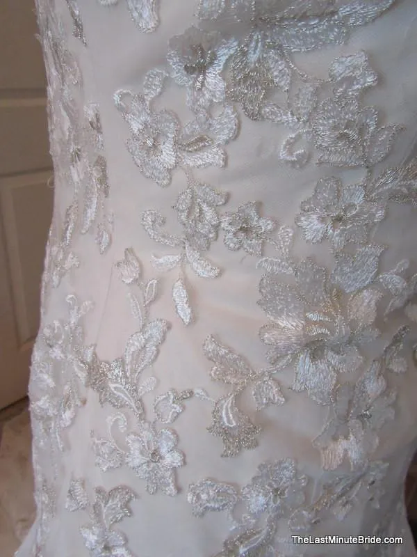 Jasmine T172008