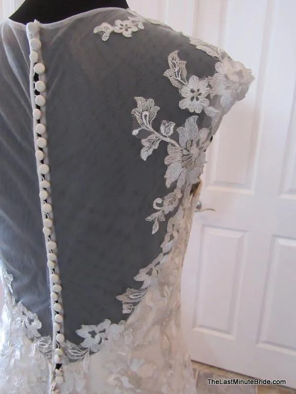 Jasmine T172008
