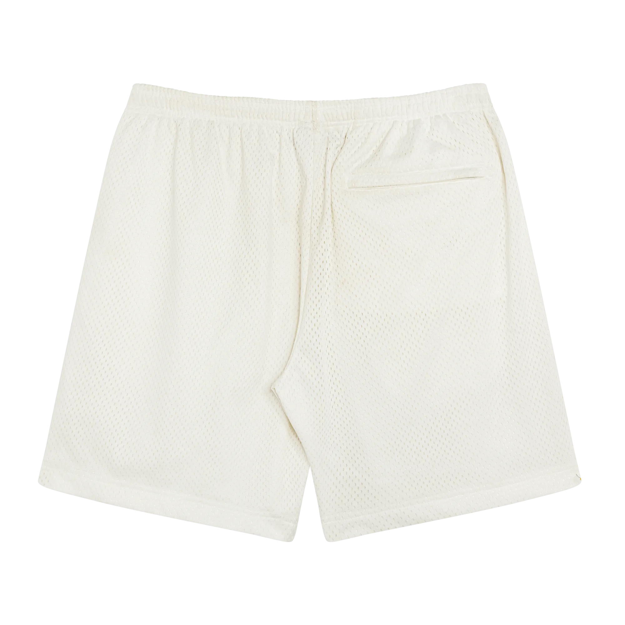 Ready To Dye Mesh Practice Shorts