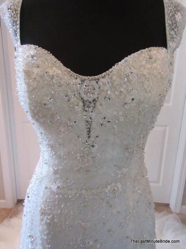Sophia Tolli Y21438 Luise