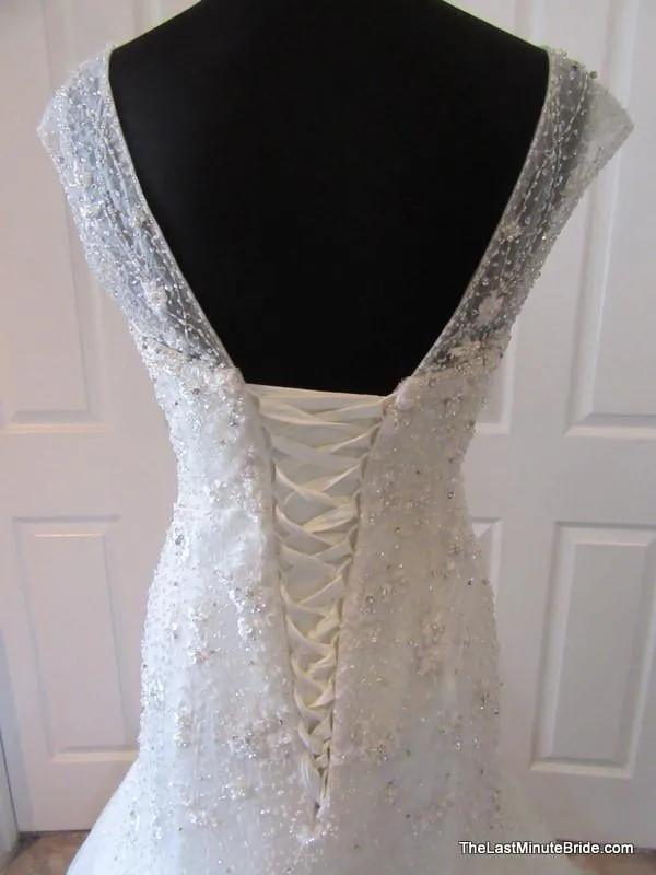 Sophia Tolli Y21438 Luise