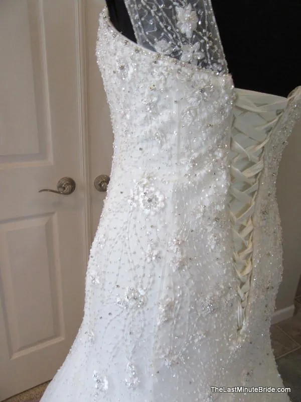 Sophia Tolli Y21438 Luise